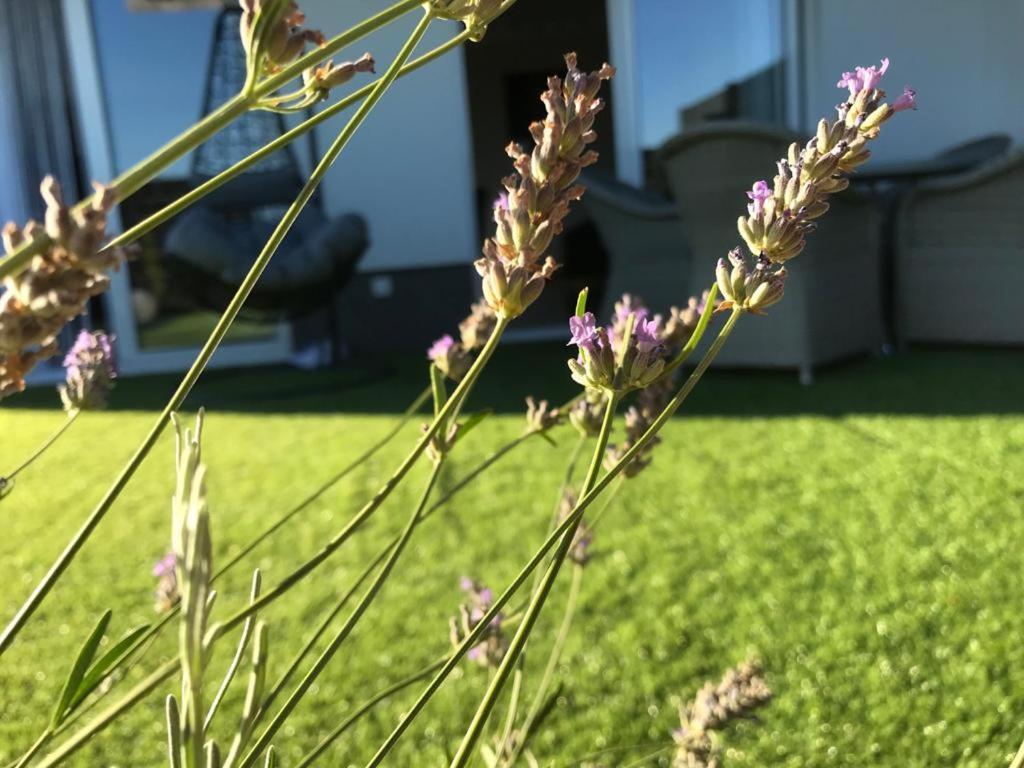 Hedonist-Luxury 2 Bedroom Apartment With Private Hot Tub, Garden And Free Parking Τρογκίρ Εξωτερικό φωτογραφία
