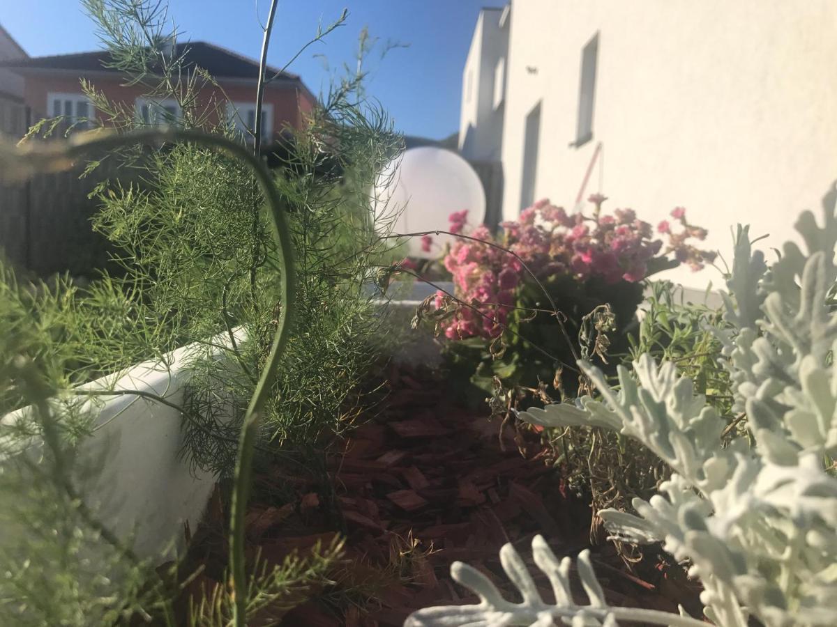 Hedonist-Luxury 2 Bedroom Apartment With Private Hot Tub, Garden And Free Parking Τρογκίρ Εξωτερικό φωτογραφία